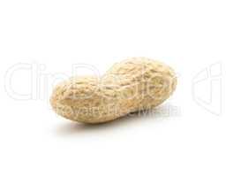 Raw peanut isolated on white