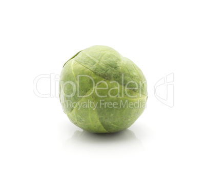 Raw brussels sprout isolated