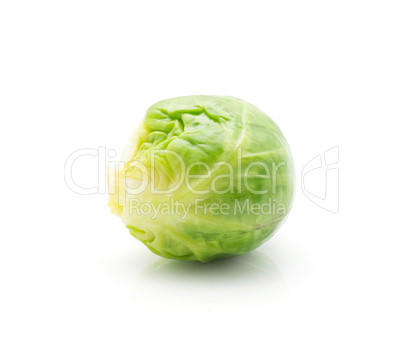 Boiled brussels sprout isolated