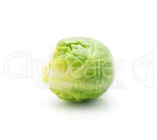 Boiled brussels sprout isolated