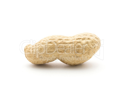 Raw peanut isolated on white