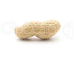 Raw peanut isolated on white