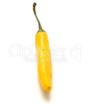 Fresh yellow chili pepper isolated