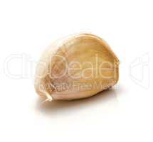 Common garlic isolated on white