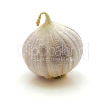 Fresh chinese garlic isolated on white