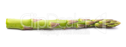 Green Asparagus isolated on white