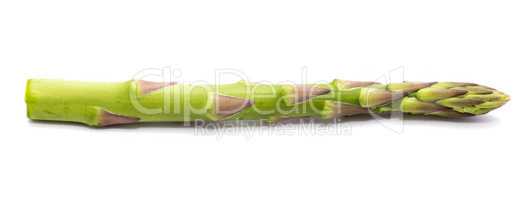 Green Asparagus isolated on white