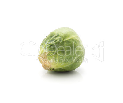 Raw brussels sprout isolated