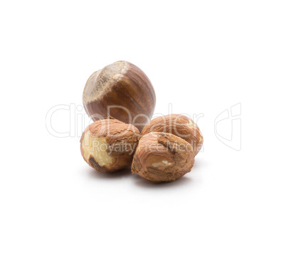 Raw hazelnut isolated on white