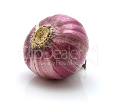 Fresh chinese garlic isolated on white