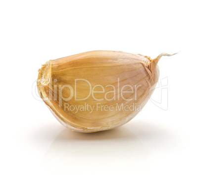 Common garlic isolated on white