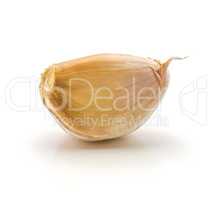 Common garlic isolated on white