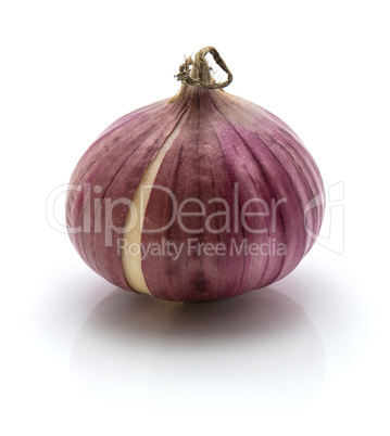 Fresh chinese garlic isolated on white