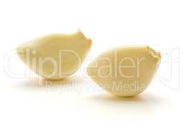 Common garlic isolated on white