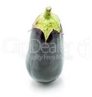 Fresh isolated eggplant on white