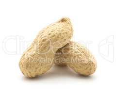 Raw peanut isolated on white