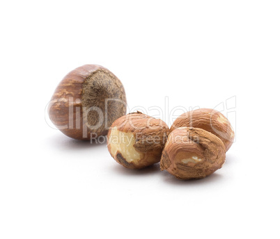 Raw hazelnut isolated on white