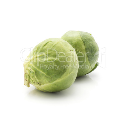 Raw brussels sprout isolated