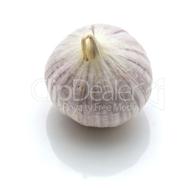 Fresh chinese garlic isolated on white