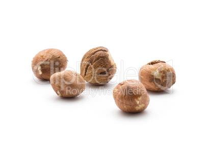 Raw hazelnut isolated on white