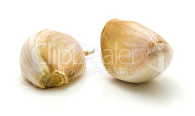 Common garlic isolated on white