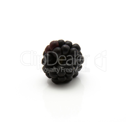 Blackberry isolated on white