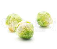 Boiled brussels sprout isolated