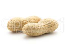 Raw peanut isolated on white