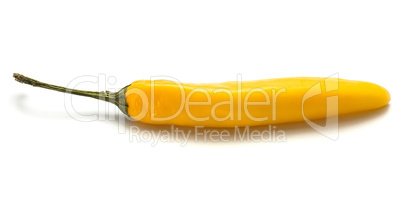 Fresh yellow chili pepper isolated