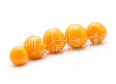 Fresh physalis isolated on white