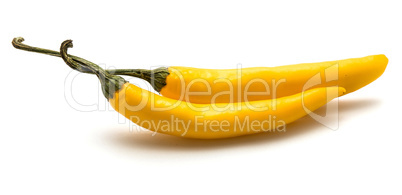 Fresh yellow chili pepper isolated