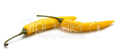 Fresh yellow chili pepper isolated