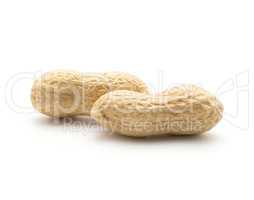 Raw peanut isolated on white