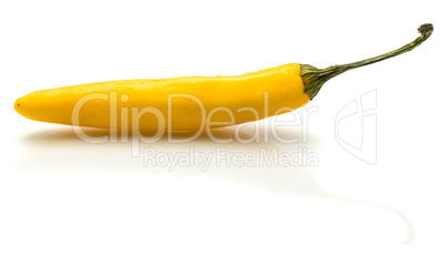 Fresh yellow chili pepper isolated