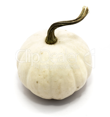 White pumpkin isolated on white