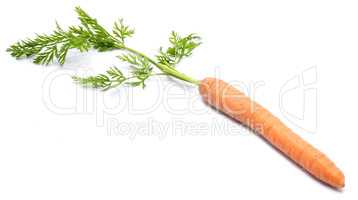 Raw carrot isolated on white