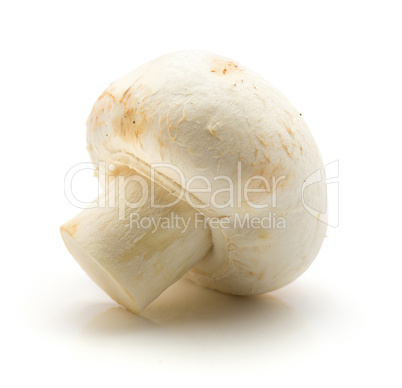 Raw champignons isolated on white