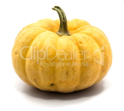 Orange pumpkin isolated on white