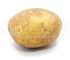 Fresh raw potatoes isolated on white