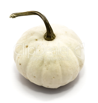 White pumpkin isolated on white