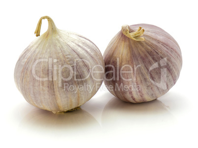 Fresh chinese garlic isolated on white