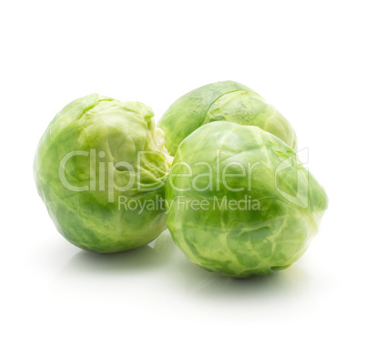 Boiled brussels sprout isolated