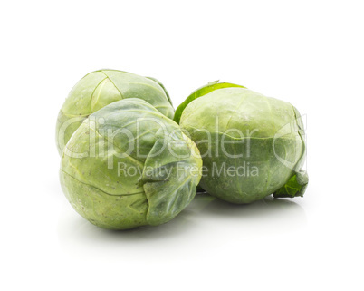 Raw brussels sprout isolated