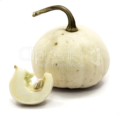 White pumpkin isolated on white