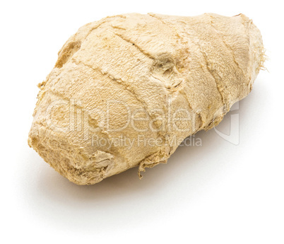 Fresh ginger root isolated on white