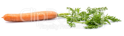 Raw carrot isolated on white