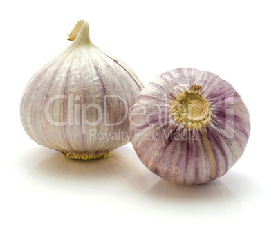 Fresh chinese garlic isolated on white