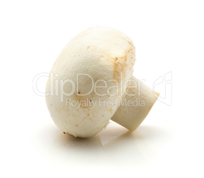 Raw champignons isolated on white