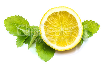 Fresh lemon and melissa isolated