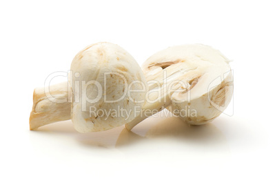 Raw champignons isolated on white